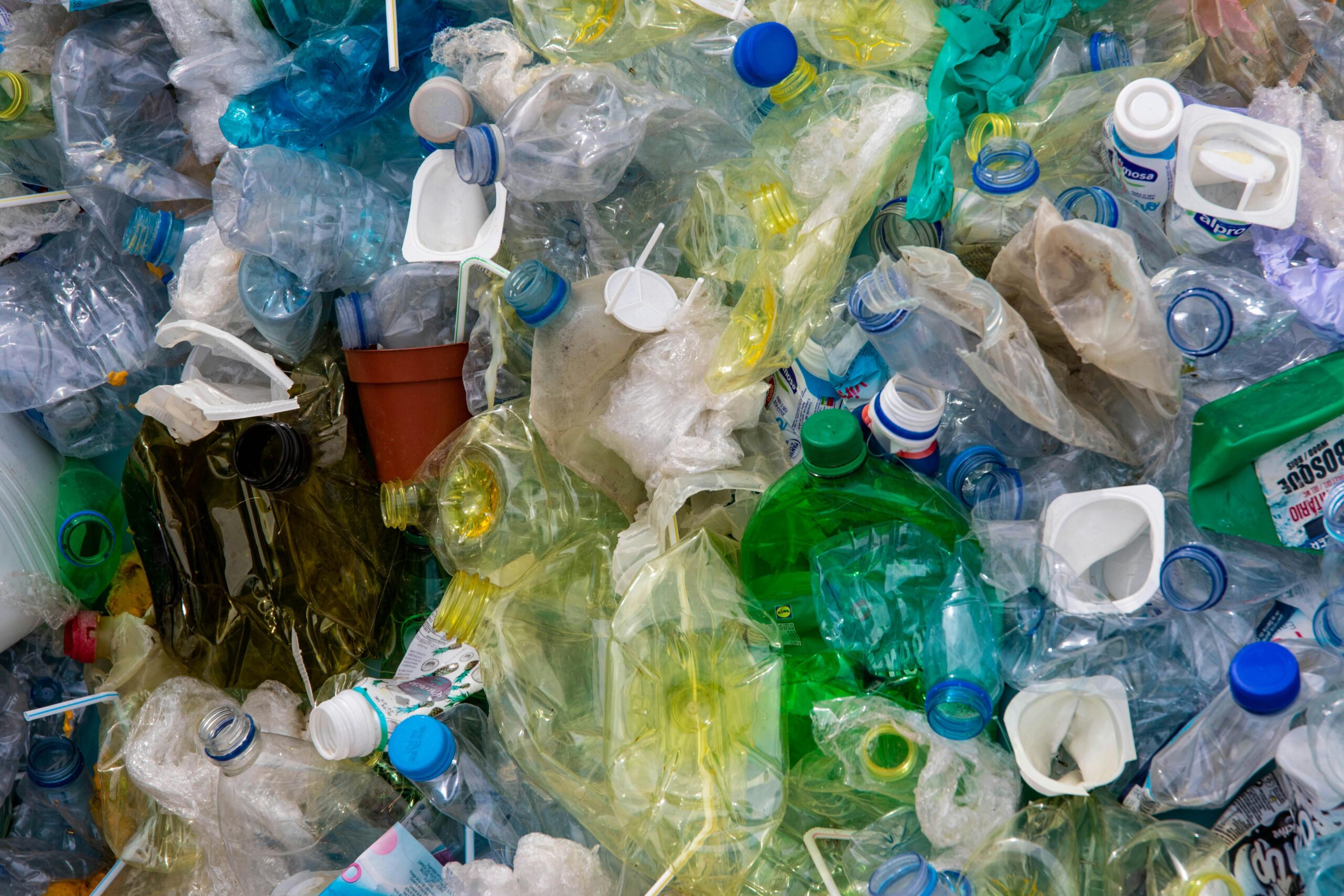 Discarded plastic bottles